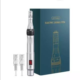 Charging P40 Electric Micro Needle Feijun Nano Beauty Micro Needle Pen Import Instrument (Option: Silver-EU)